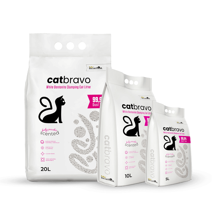 cat-bravo-cat-litter
