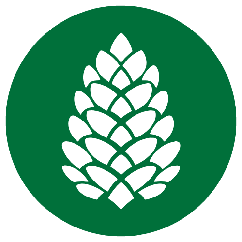 Pine Tree